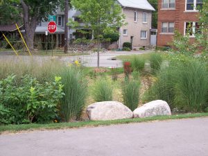 Our rain garden helps bring natural beauty to the neighborhood we call home.